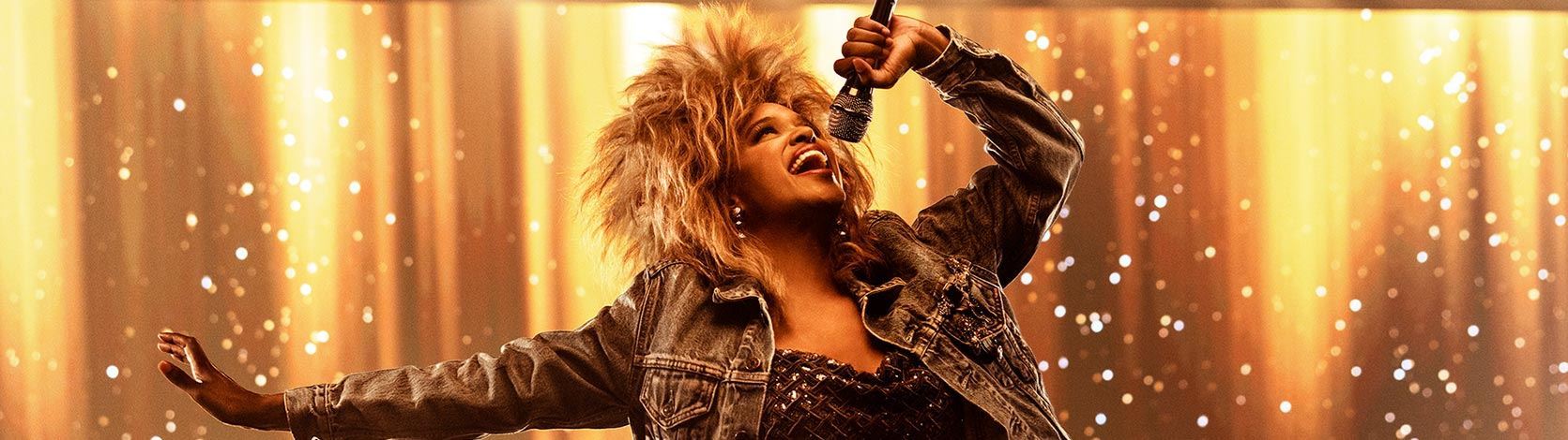 Picture of TINA – The Tina Turner Musical Picture of TINA – The Tina Turner Musical