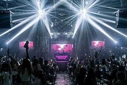 Billede af Bongo´s Bingo