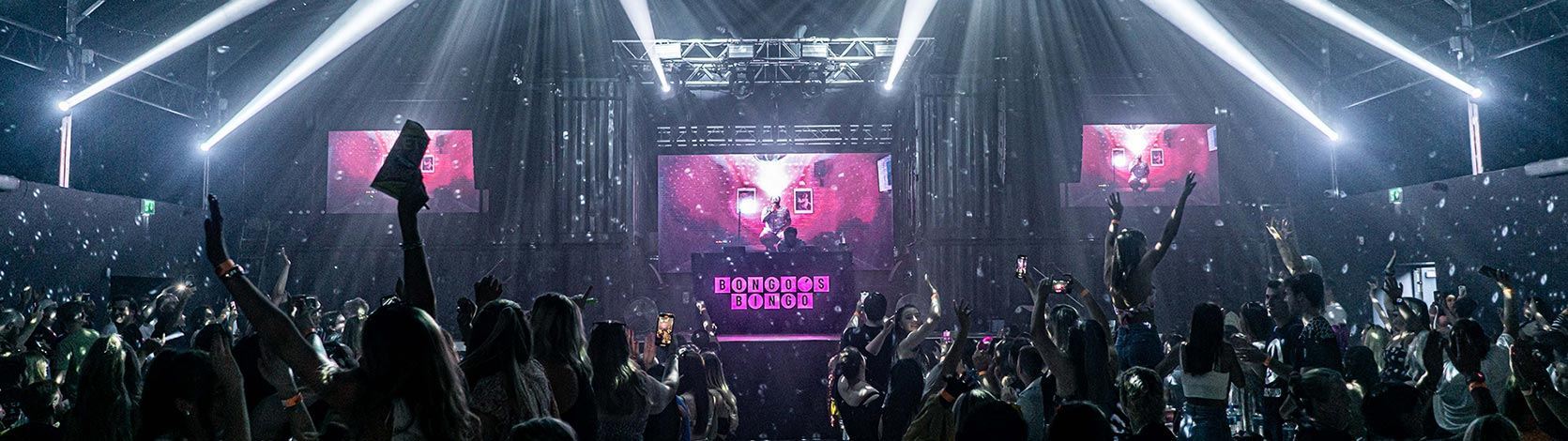 Billede af Bongo´s Bingo