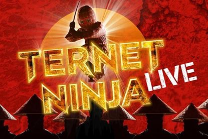 Billede af Ternet Ninja
