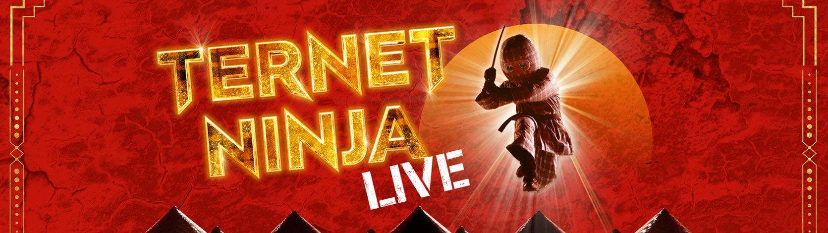 Billede af Ternet Ninja