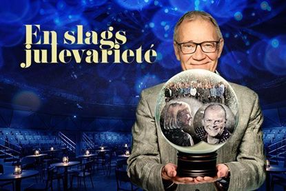 Billede af EN SLAGS JULEVARIETÉ