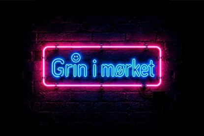Picture of Grin i mørke